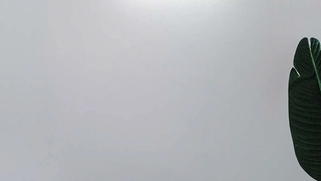 Lampada da parete Sesamo a Led di Cattaneo